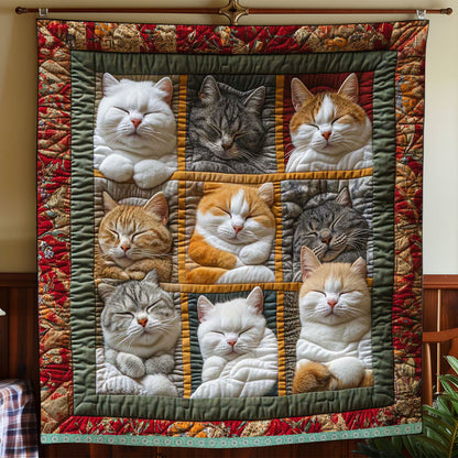 ✨Modern flanel takaró macskamintával - szuper puha és meleg takaró minden évszakra🐾