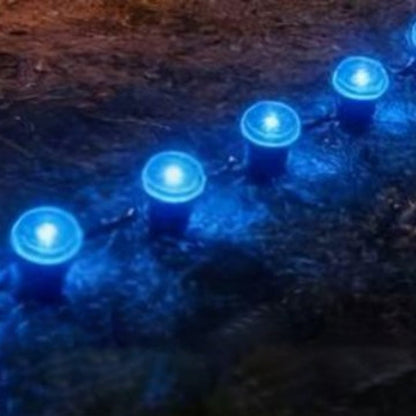 🚨 Napelemes Kerti Út LED Lámpák – Automatikus Érzékelővel 💡
